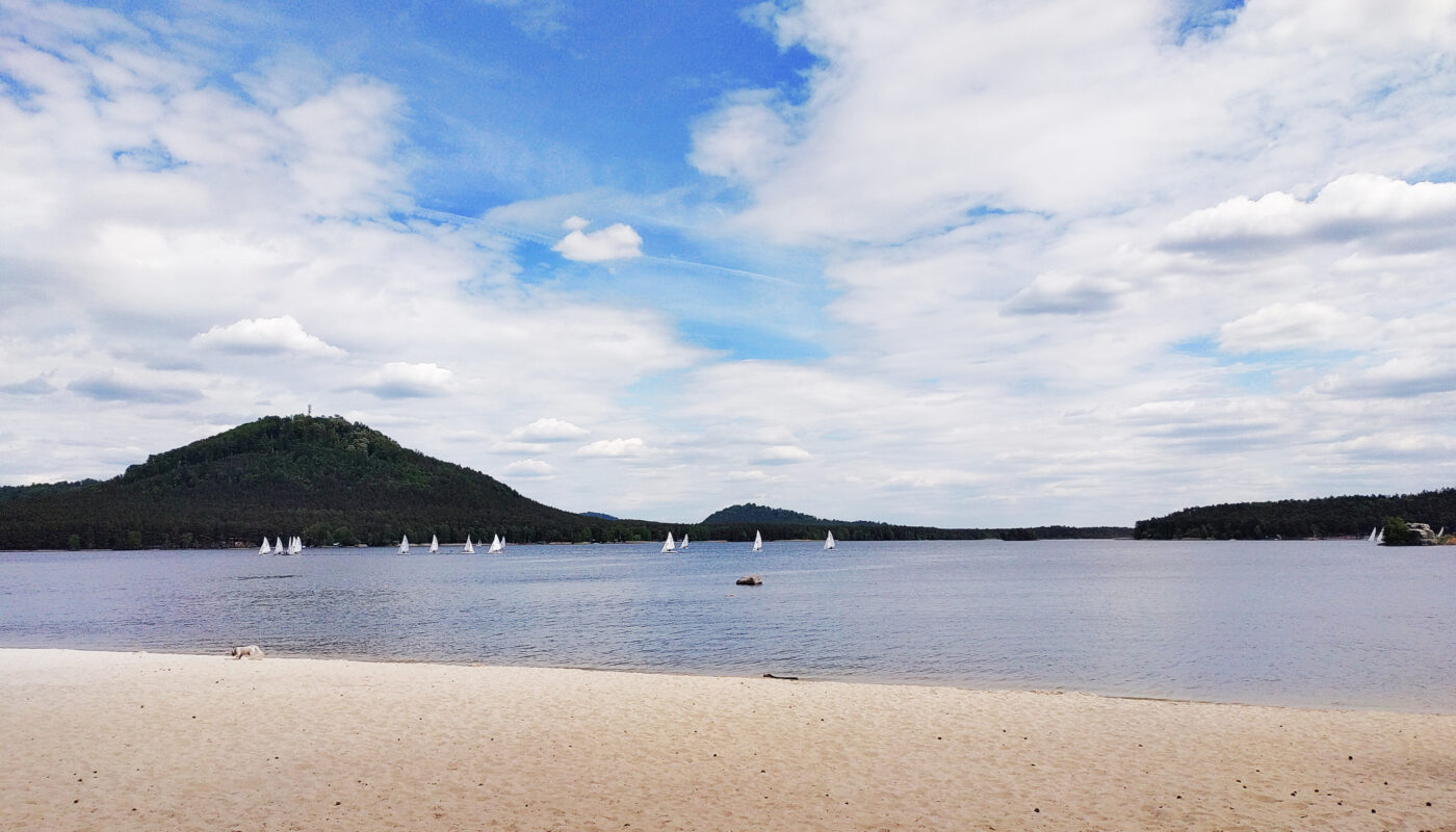Ride through pine forests to Mácha lake
