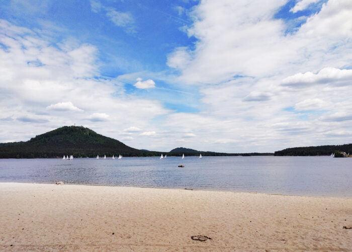 Ride through pine forests to Mácha lake