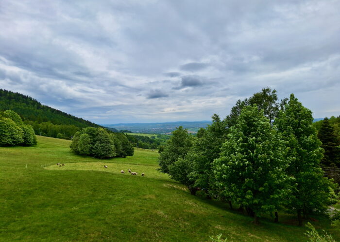 Ride through the beauty of Lužické hory