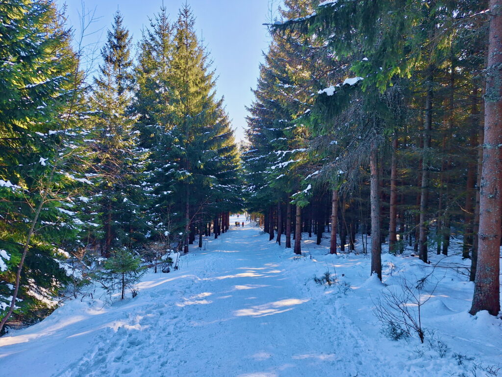 way to Ještěd in winter