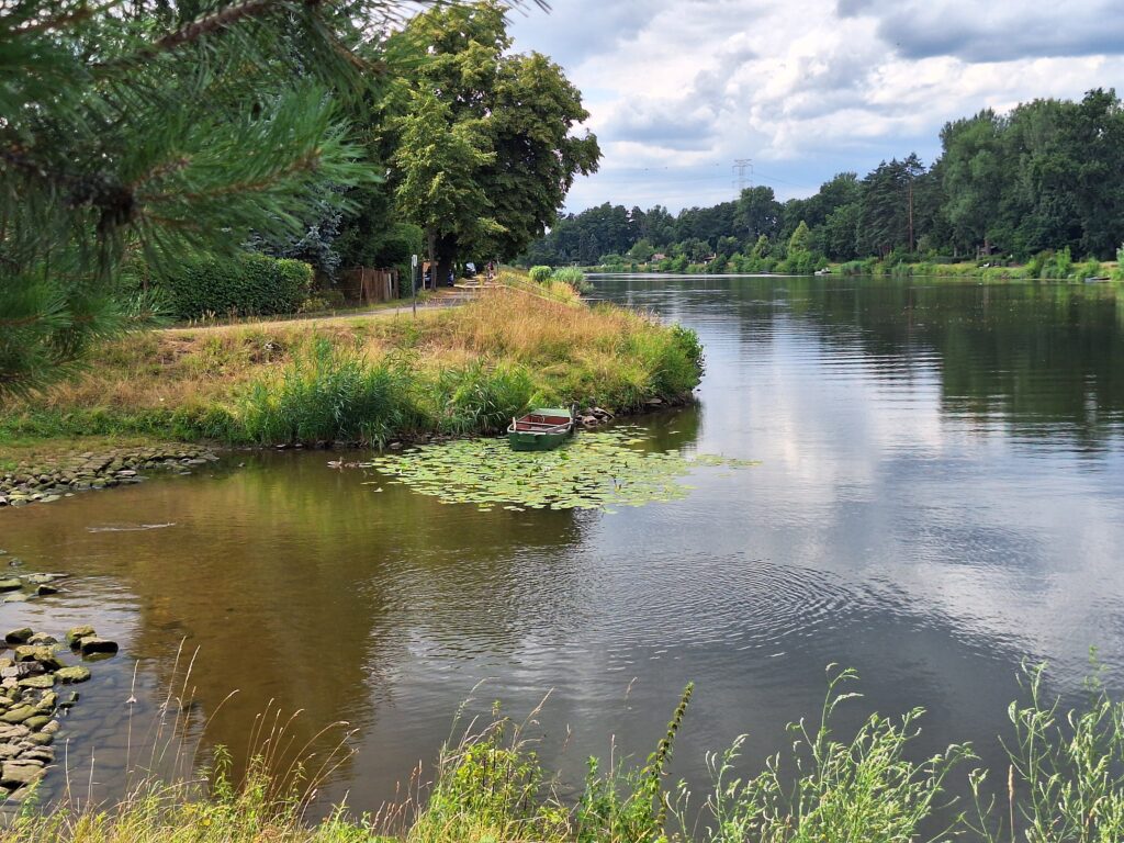 Lilies on the Labe - ride to Nymburk for ice cream