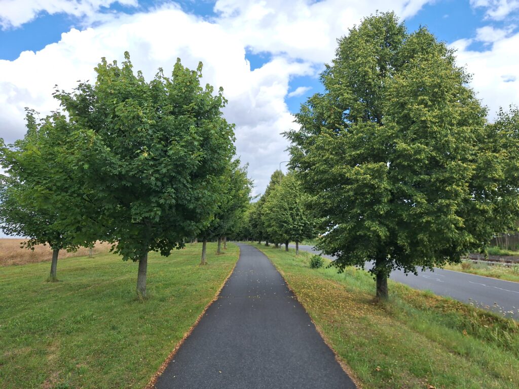 Euro Velo 4 - ride to Nymburk for ice cream
