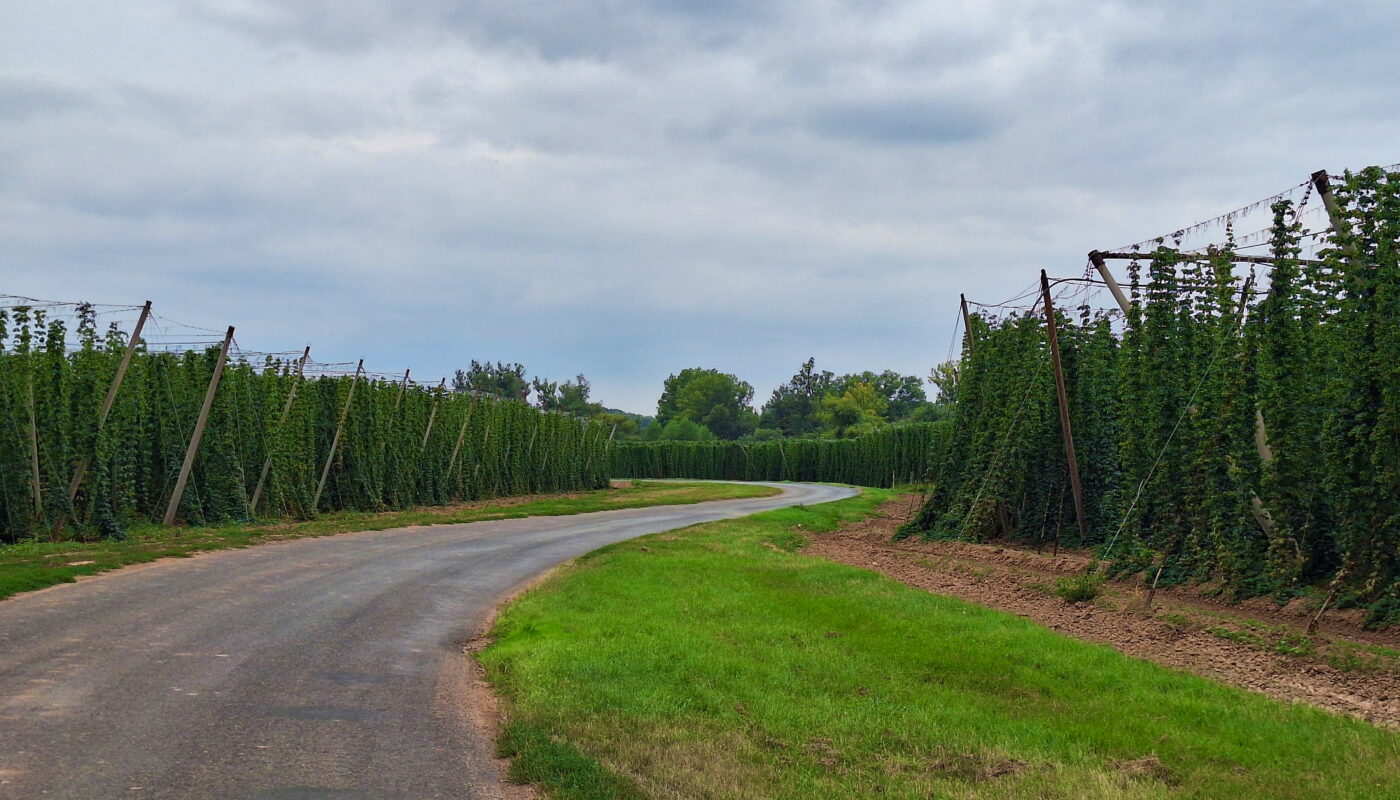 Dull bike ride along the Ohře river