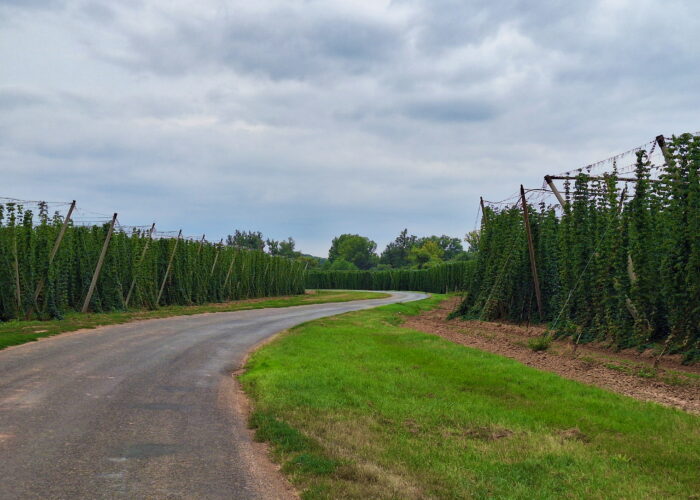 Dull bike ride along the Ohře river