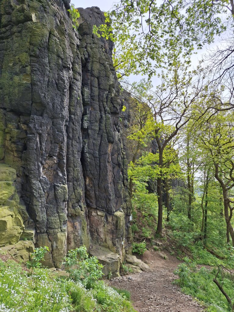 Bílina kyselka hike to Bořeň - basalt