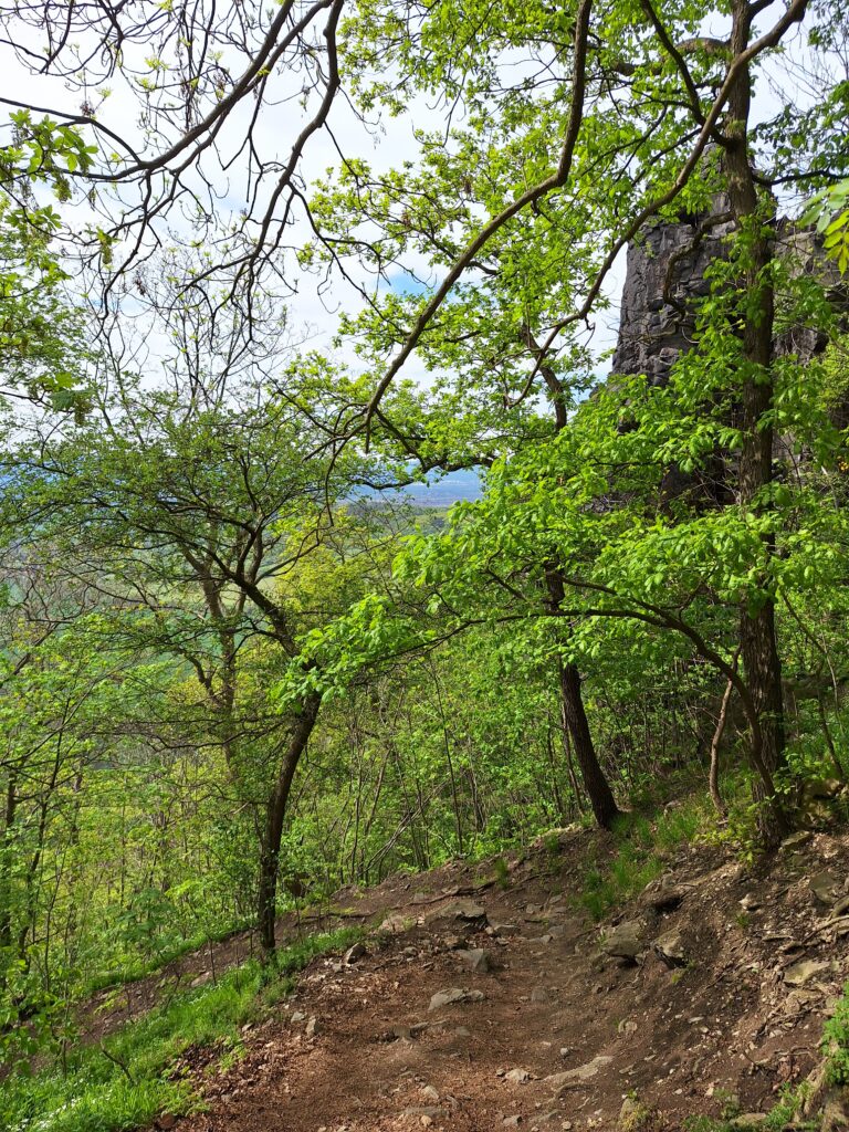 Bílina kyselka hike to Bořeň