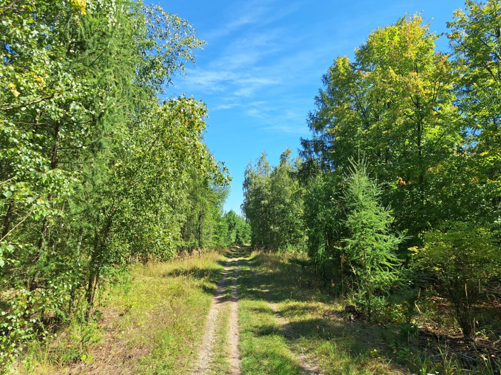 Bike trail in the forest between the coal mines