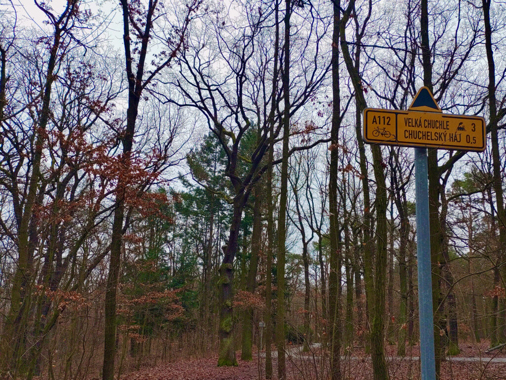 Velká Chuchle forest