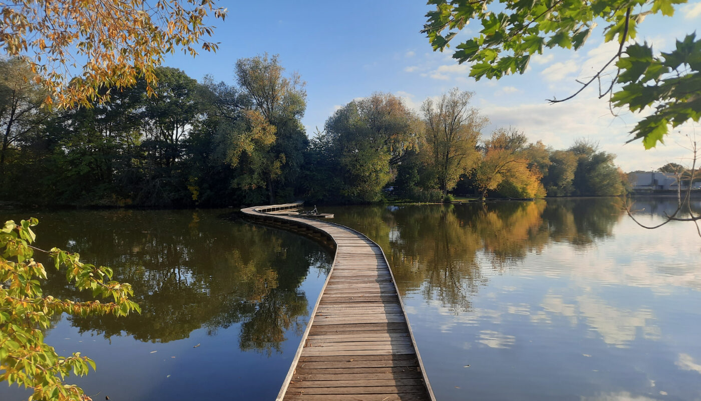 Mini escape south of Prague: the Vestec pond