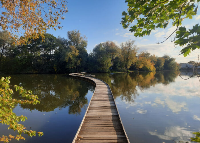 Mini escape south of Prague: the Vestec pond