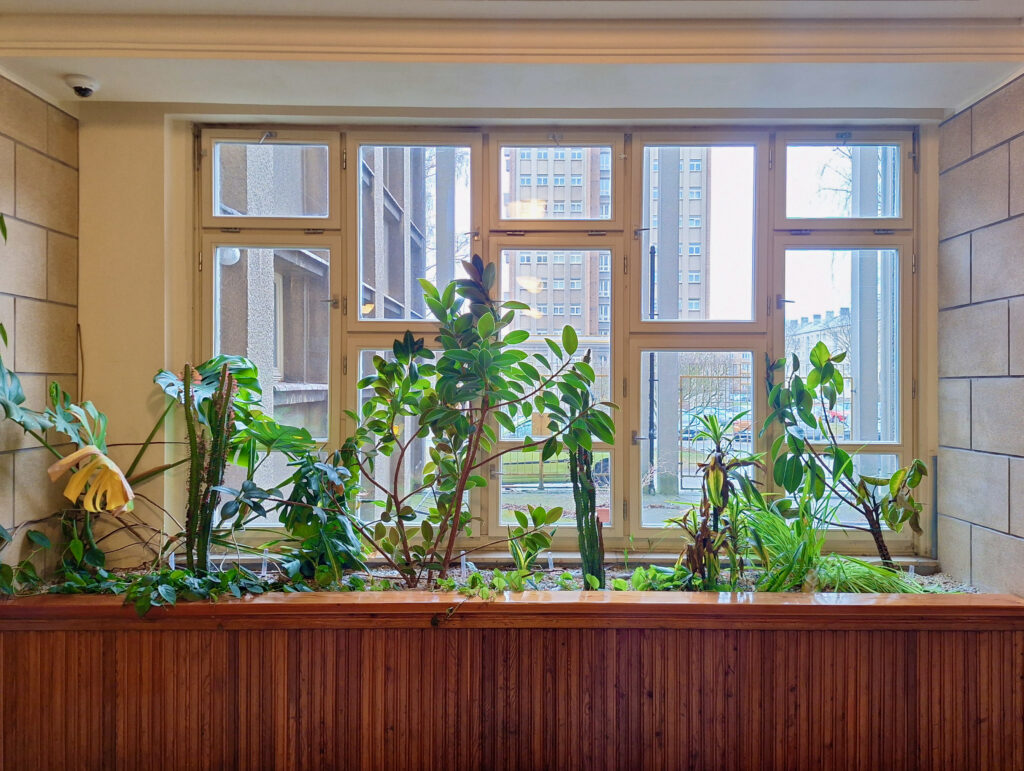 Plants in the entrance hall of the věžák.