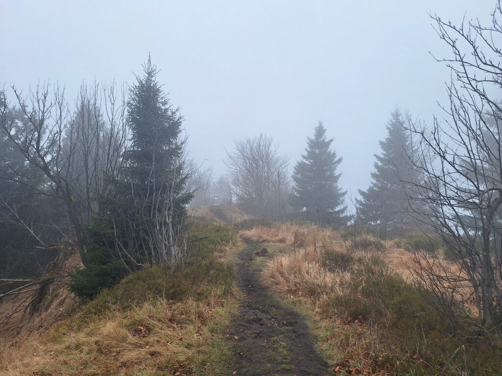 On the top of Bukovec