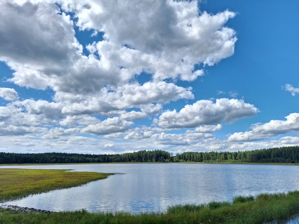 Ponds in Třeboň