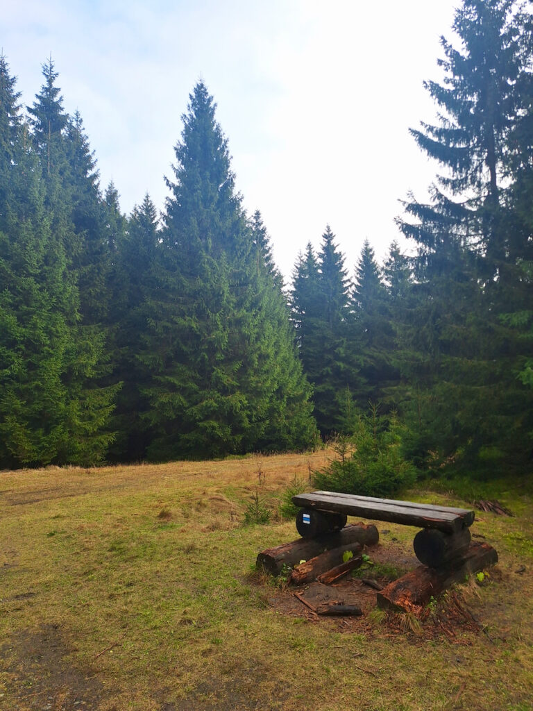 Forest - hike to Jizerka and Bukovec