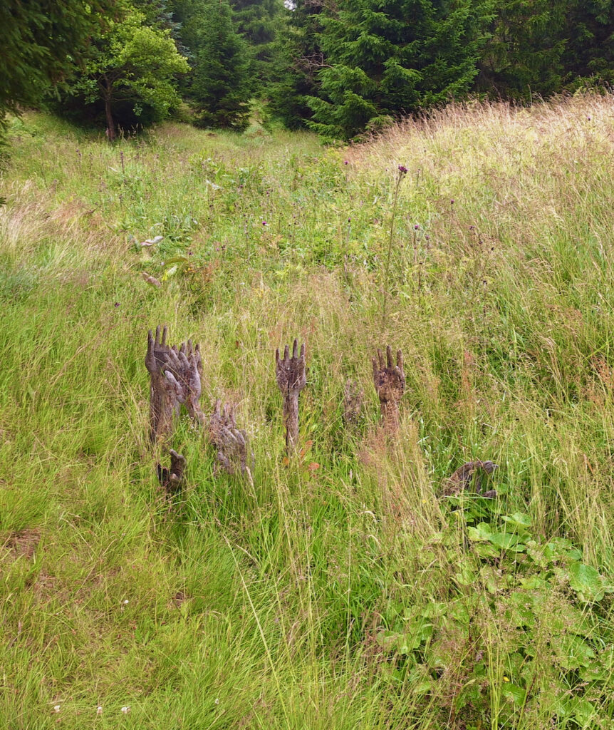 Land art in Königsmühle
